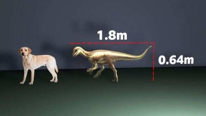 Fossil of Dog-Sized Dinosaur Reveals How Tiny Species Thrived Among Giants