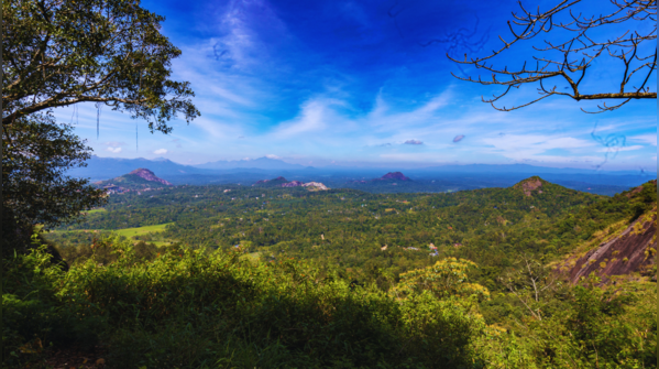 Lakkidi Gateway pass amidst lush greenery