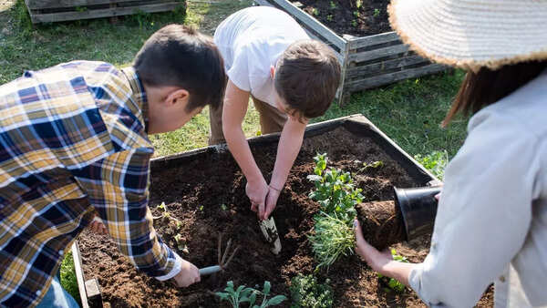 Soil preparation for monsoon crops