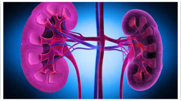 Damaged kidneys due to high uric acid levels
