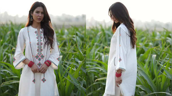 Sonam Bajwa looking confidently desi in her latest outfit